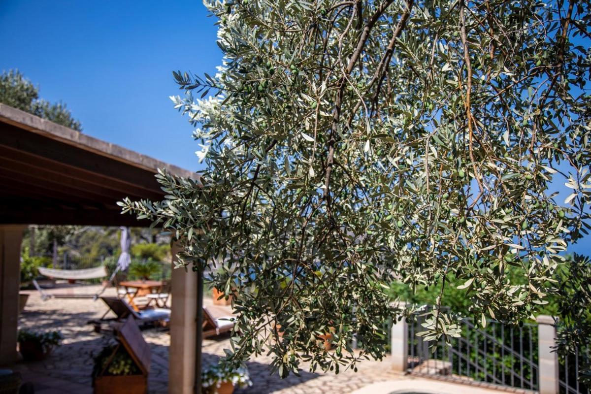 Finca Rural Es Pujol Sóller Eksteriør bilde