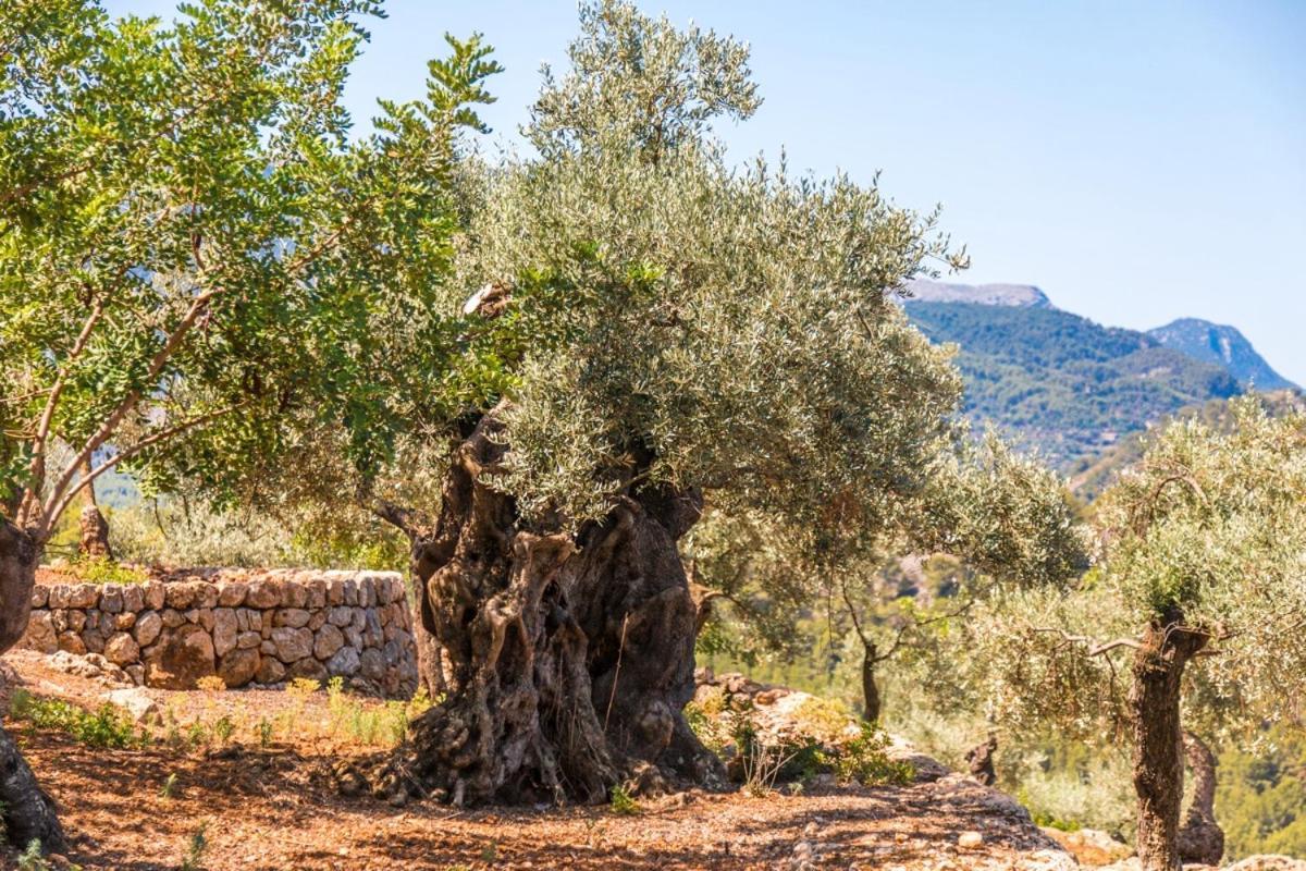 Finca Rural Es Pujol Sóller Eksteriør bilde
